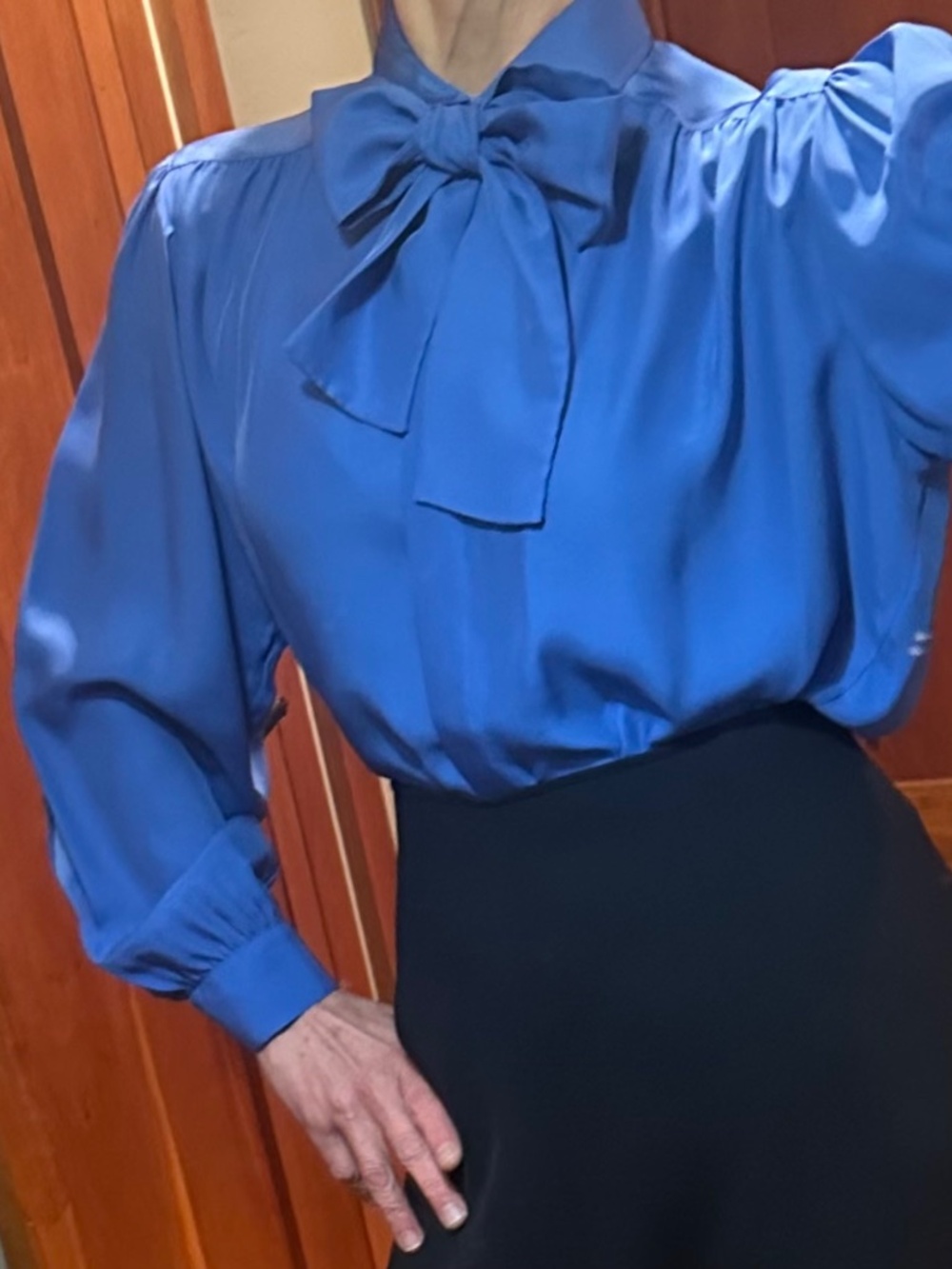 Louis Féraud Blue Blouse Size 10